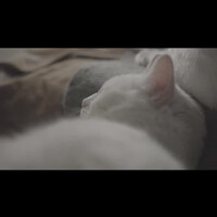 画像1021