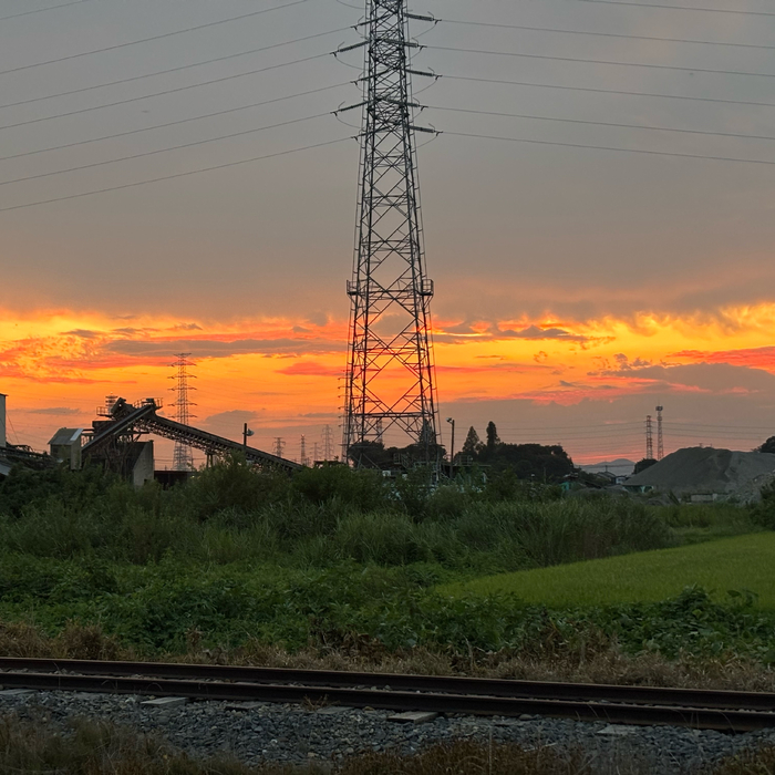 画像1269