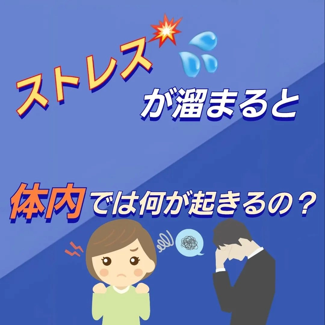 画像248
