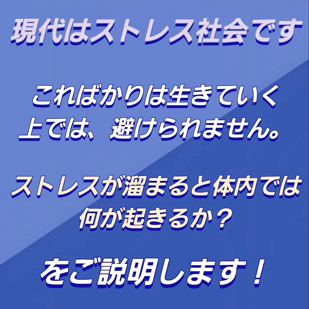 画像249
