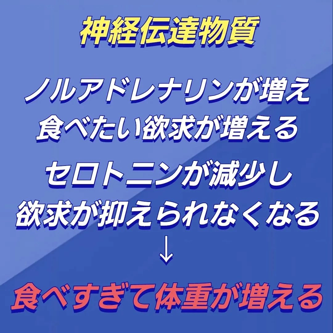 画像250