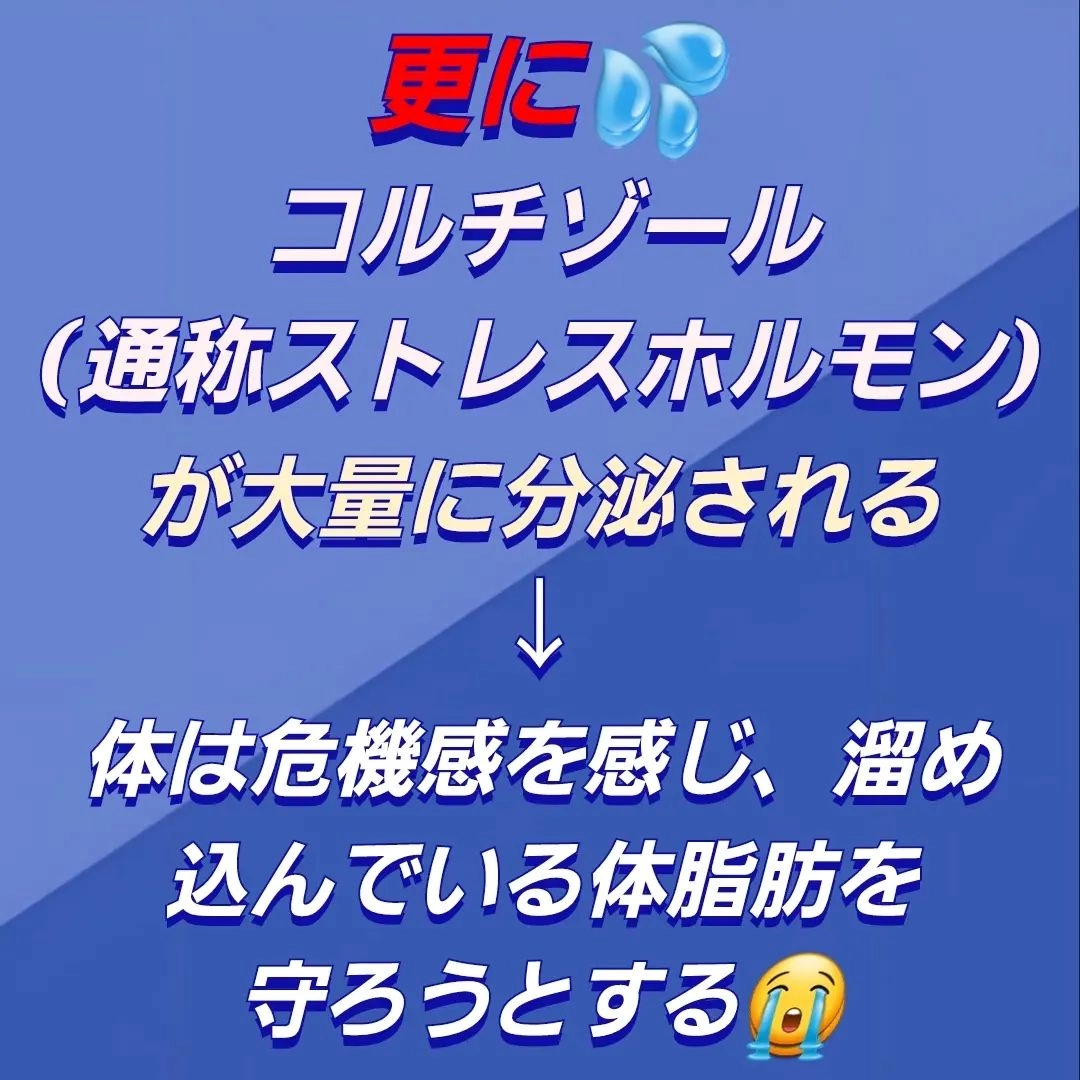 画像251