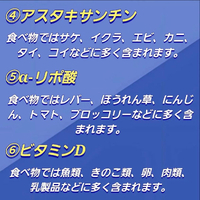 画像482