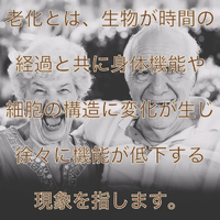 画像654