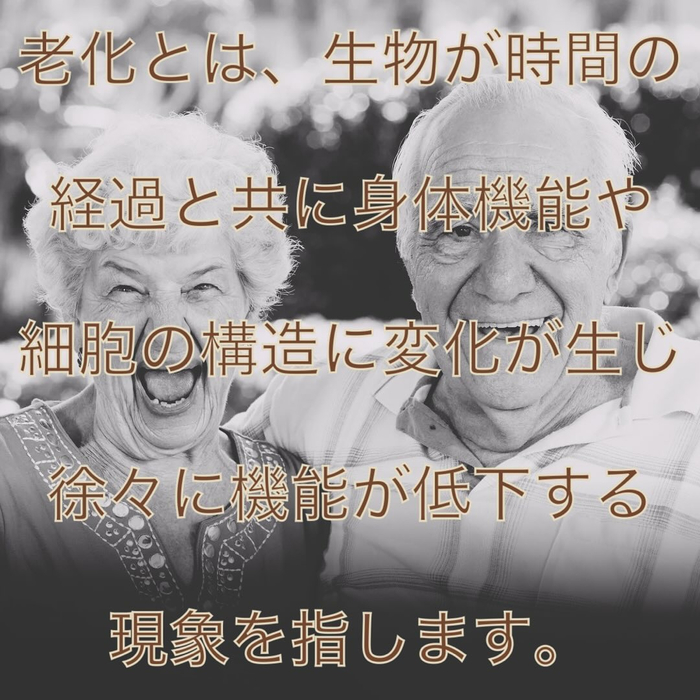 画像654