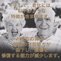 画像655