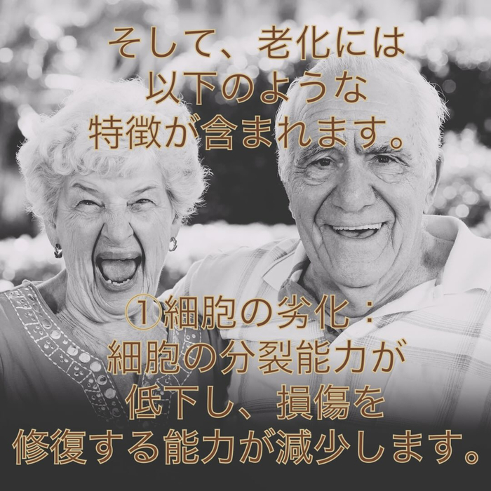 画像655