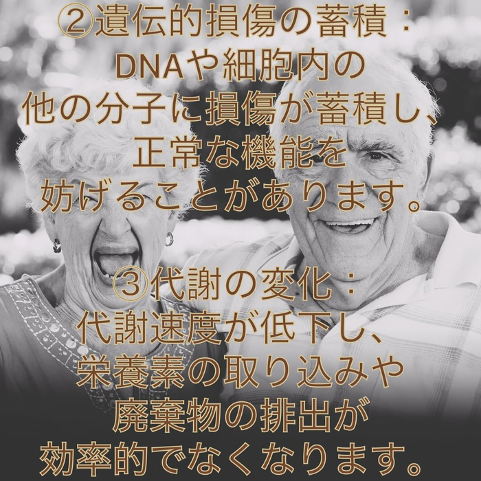 画像656