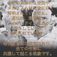 画像658