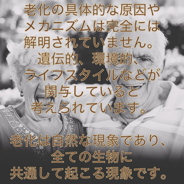画像658