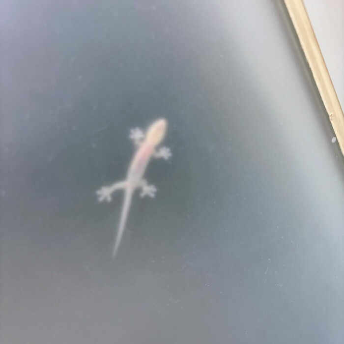 画像723