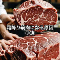 画像788